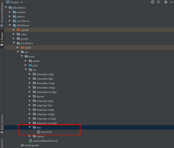 Screenshot of the license LIC file added to the Raw folder.