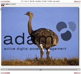 adam online