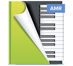 AMR Codec