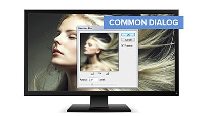 Common Dialogs