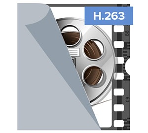 H.263 Codec