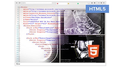 HTML5 Medical Viewer