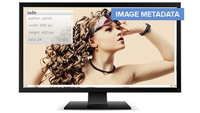 File Metadata