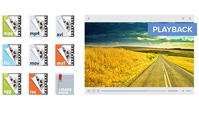 Multimedia Playback