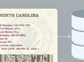 Driver's License and ID Recognition