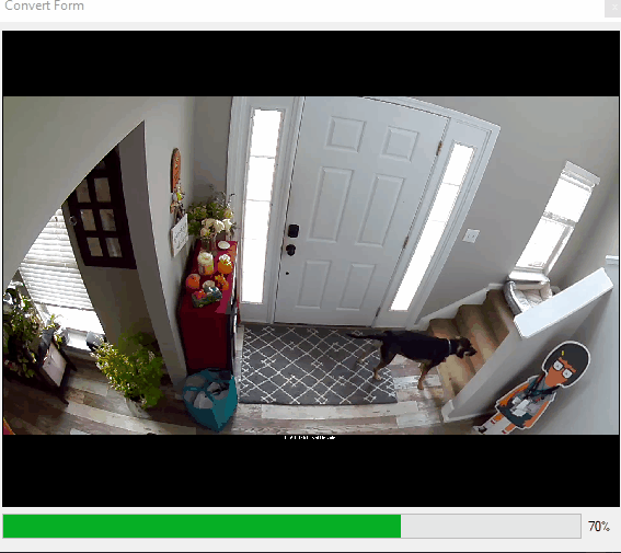 MotionDetection
