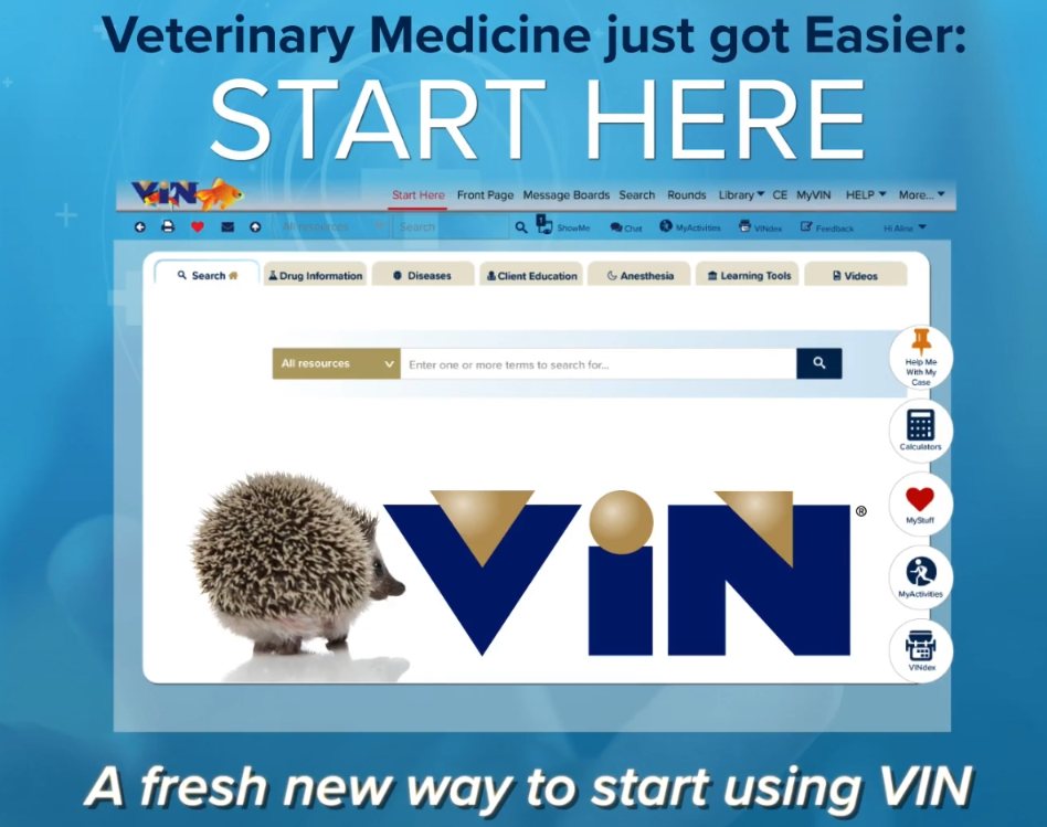 Vin veterinary deals