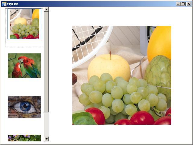 Image List Linked to Image Viewer