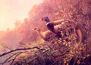 auto-contrast.jpg auto-contrast.jpg