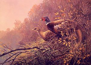 auto-intensity.jpg auto-intensity.jpg