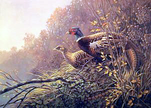 auto-level.jpg auto-level.jpg