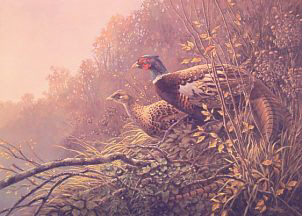 originalautolevel.jpg originalautolevel.jpg