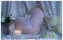 circularcellfrq.jpg circularcellfrq.jpg