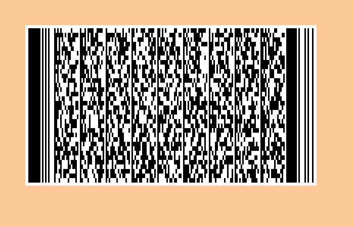PDF417 barcode data written on image