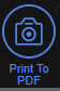 Print To PDF button