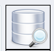 Database Manager Search Button