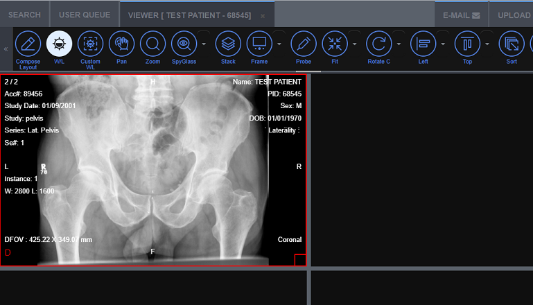 Medical Web Viewer patient view.