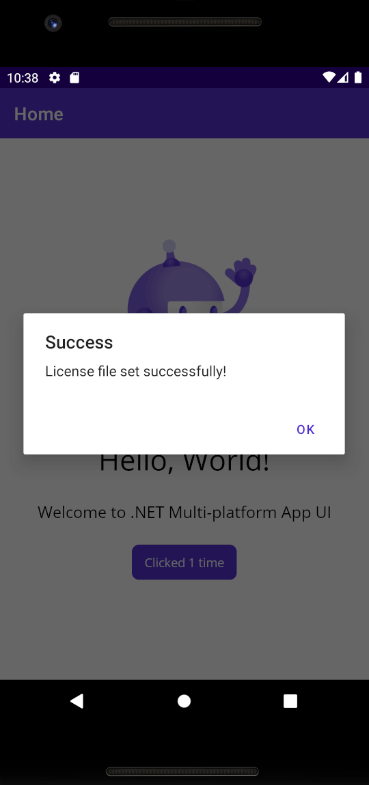 Success display screenshot on Android device