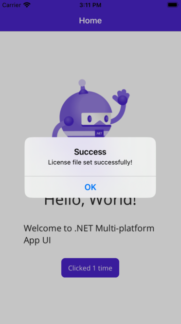 Success display screenshot on iOS device