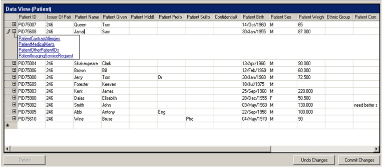 Data View Grid