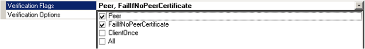 Verification Flags