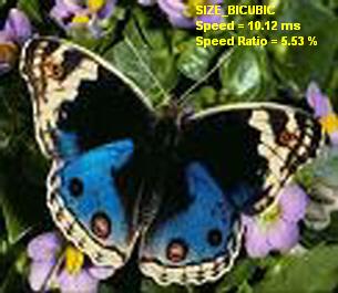 size bicubic