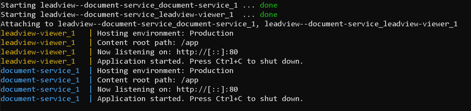 Terminal message confirming both LEADVIEW and Document Service are running