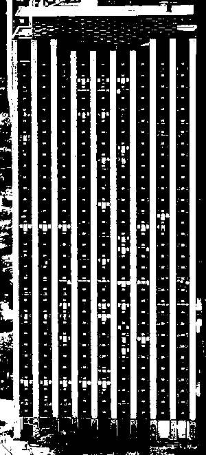 Auto Binary Segment Function - After