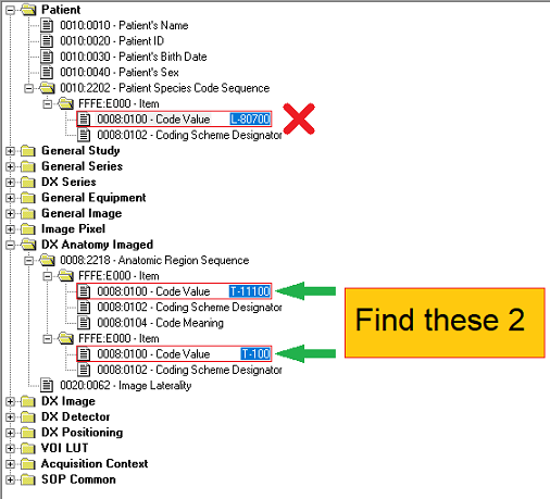 Contents of Sample Dataset