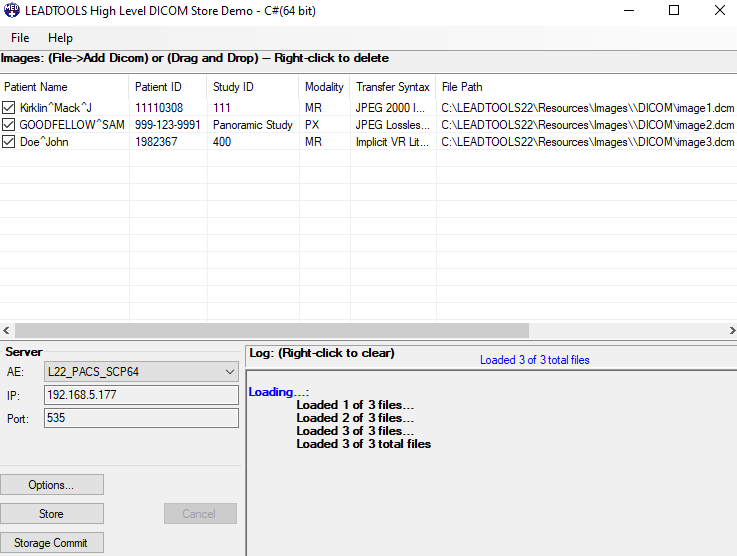 Screenshot of the High-Level DICOM Store Demo.