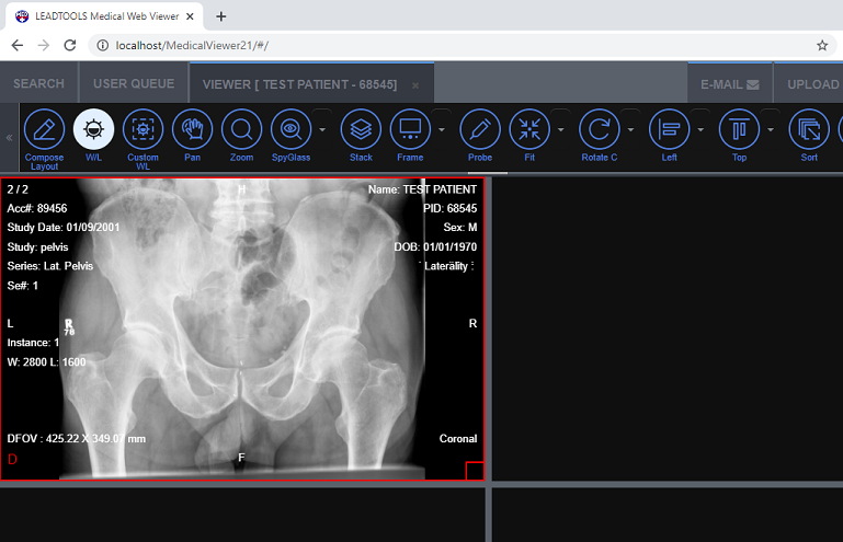 Medical Web Viewer patient view.
