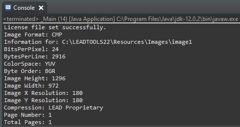 The application runs and the console displays the extracted information