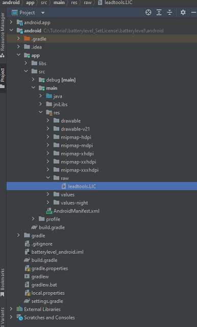 Input license file in RAW folder