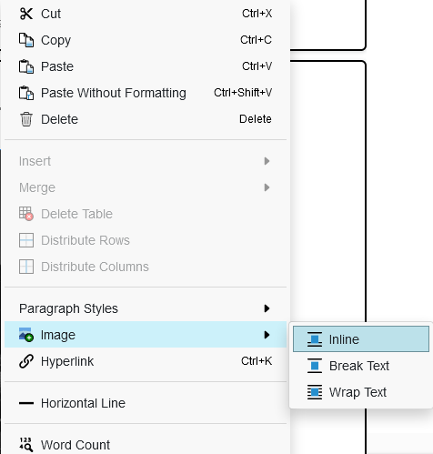 Edit the format of the image with the options provide from right-clicking the selected area.