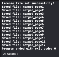 Console display of extracted information.