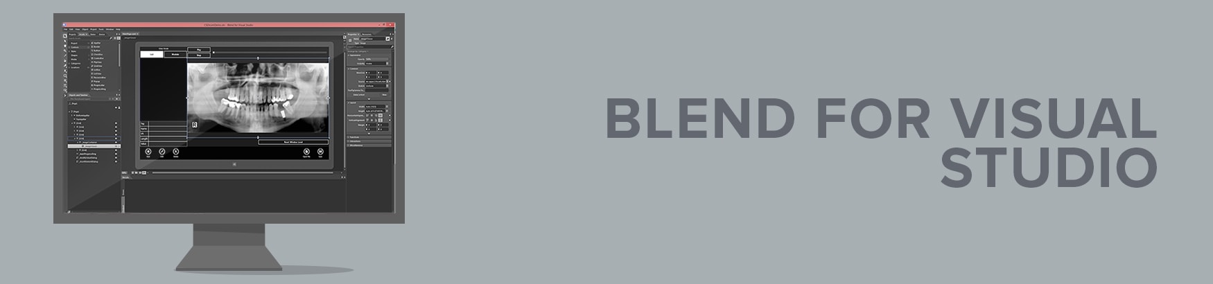Blend for Visual Studio Image Viewer SDK