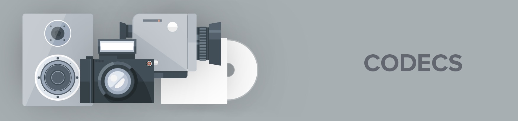 DirectShow & Media Foundation Codecs