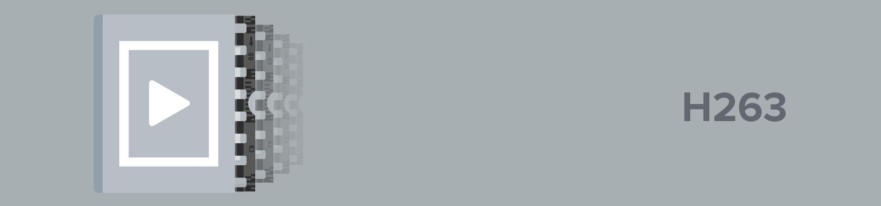 H.263 Codec