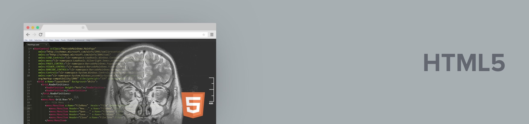 HTML5 Medical Viewer