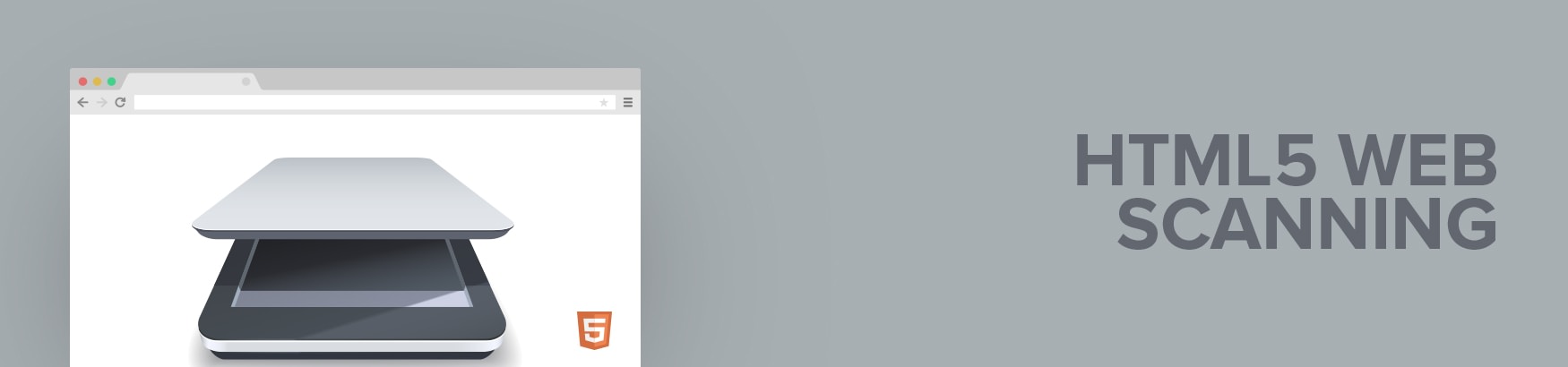 Web Scanning