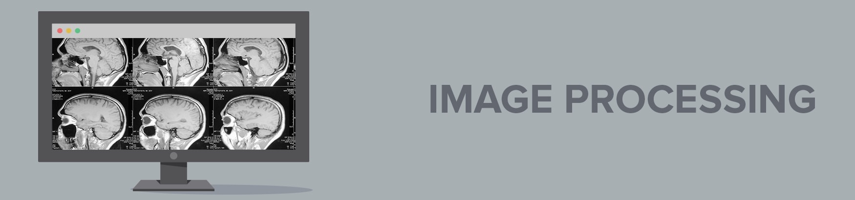 Medical Image Processing