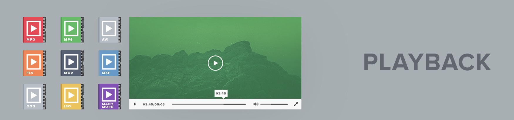 Multimedia Playback