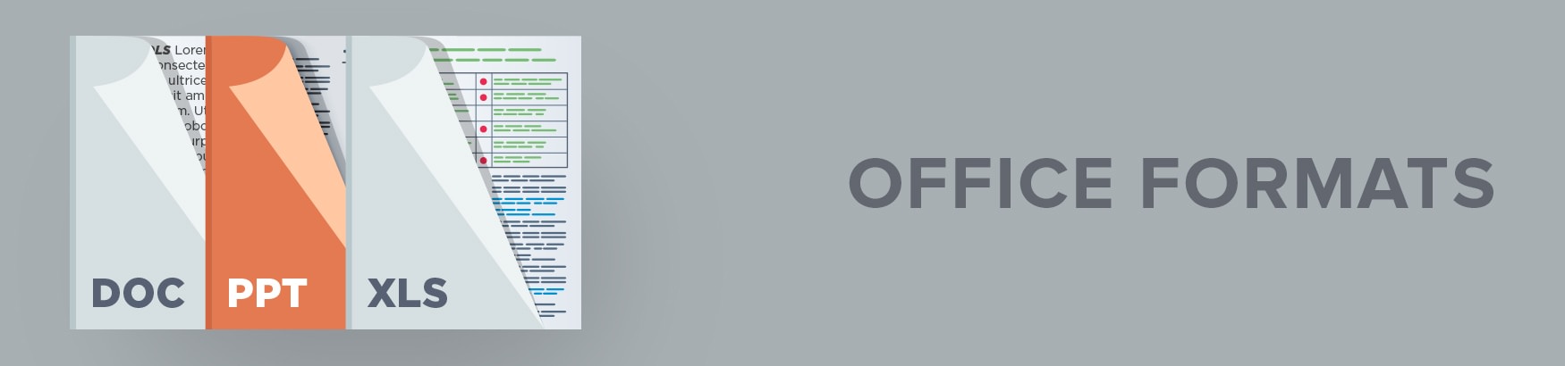 Microsoft Office Formats