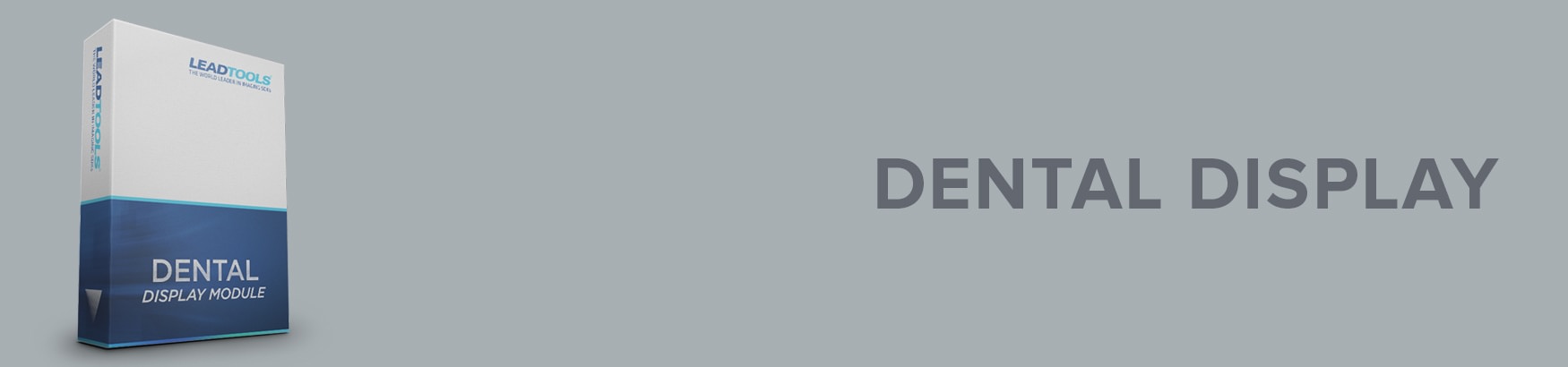 Dental Display Module