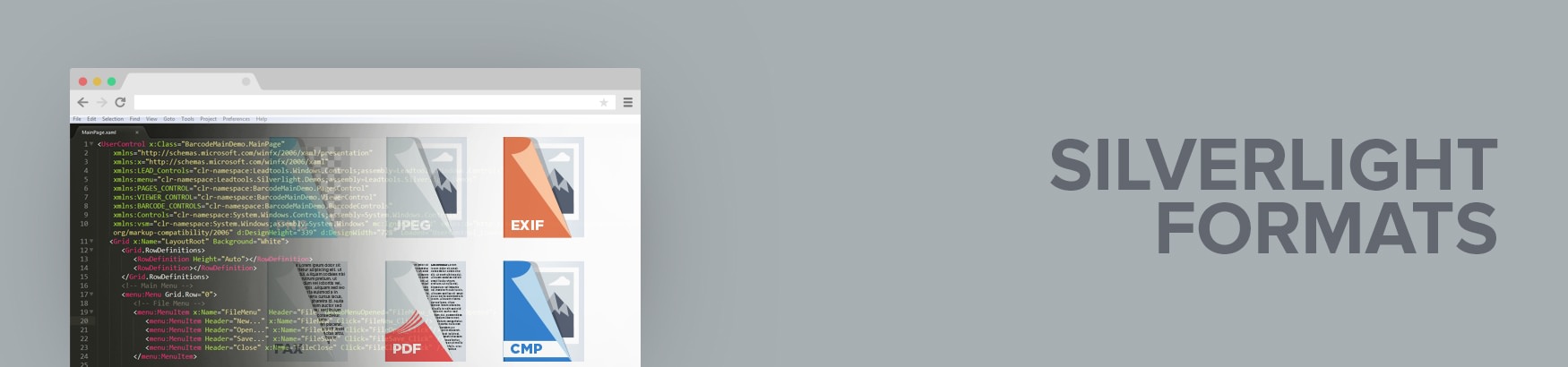 Silverlight File Formats