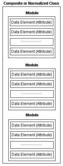 dicom data element
