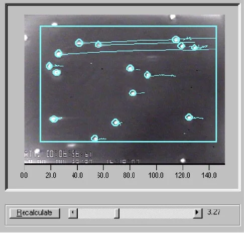 Automatic Digital Video Motion Analyzer