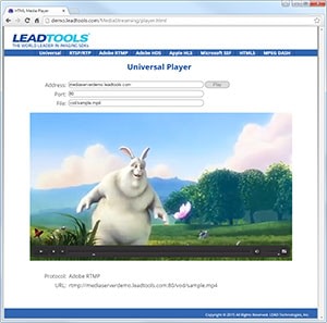 Media Streaming Server screenshot